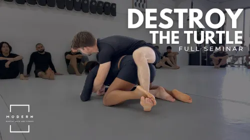NEW FULL-LENGTH SEMINAR VIDEO: DESTROY THE TURTLE