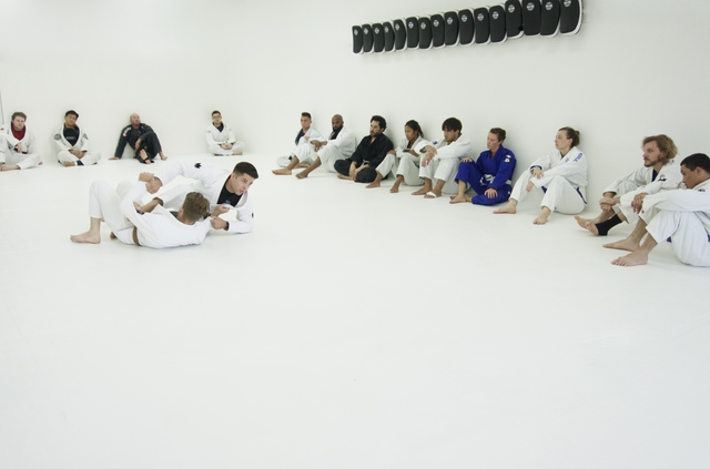 BJJ Seminar and Belt Promotion Ceremony