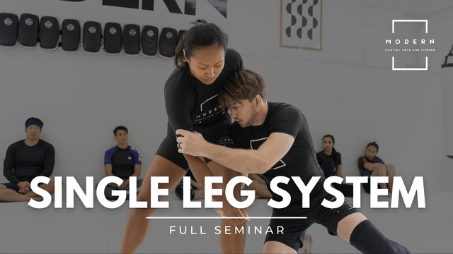 Introducing: The Single Leg Takedown - A Modern Approach