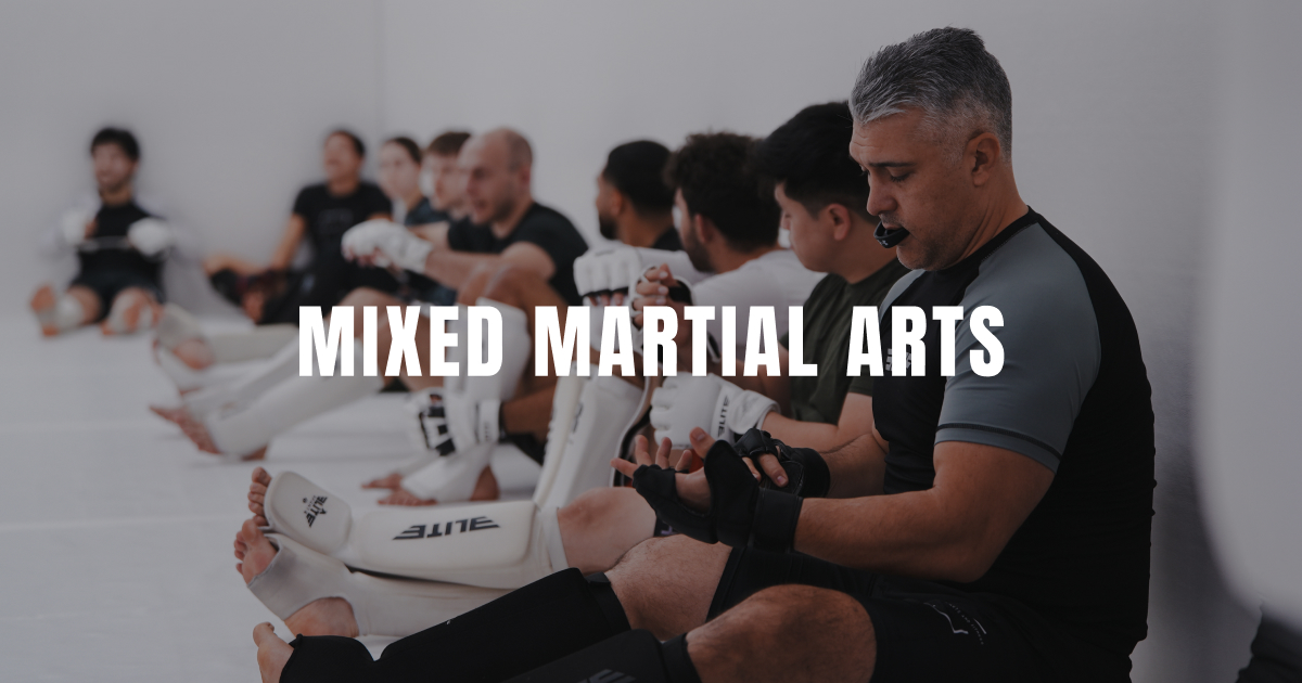 Mixed Martial Arts (MMA) in Pasadena, CA Modern Martial Arts and Fitness