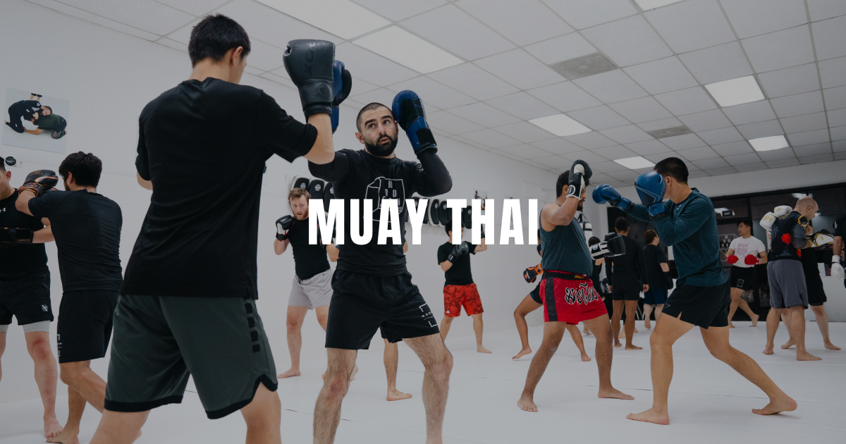 Modern Martial Arts and Fitness photo (Gym's own website (og:image))