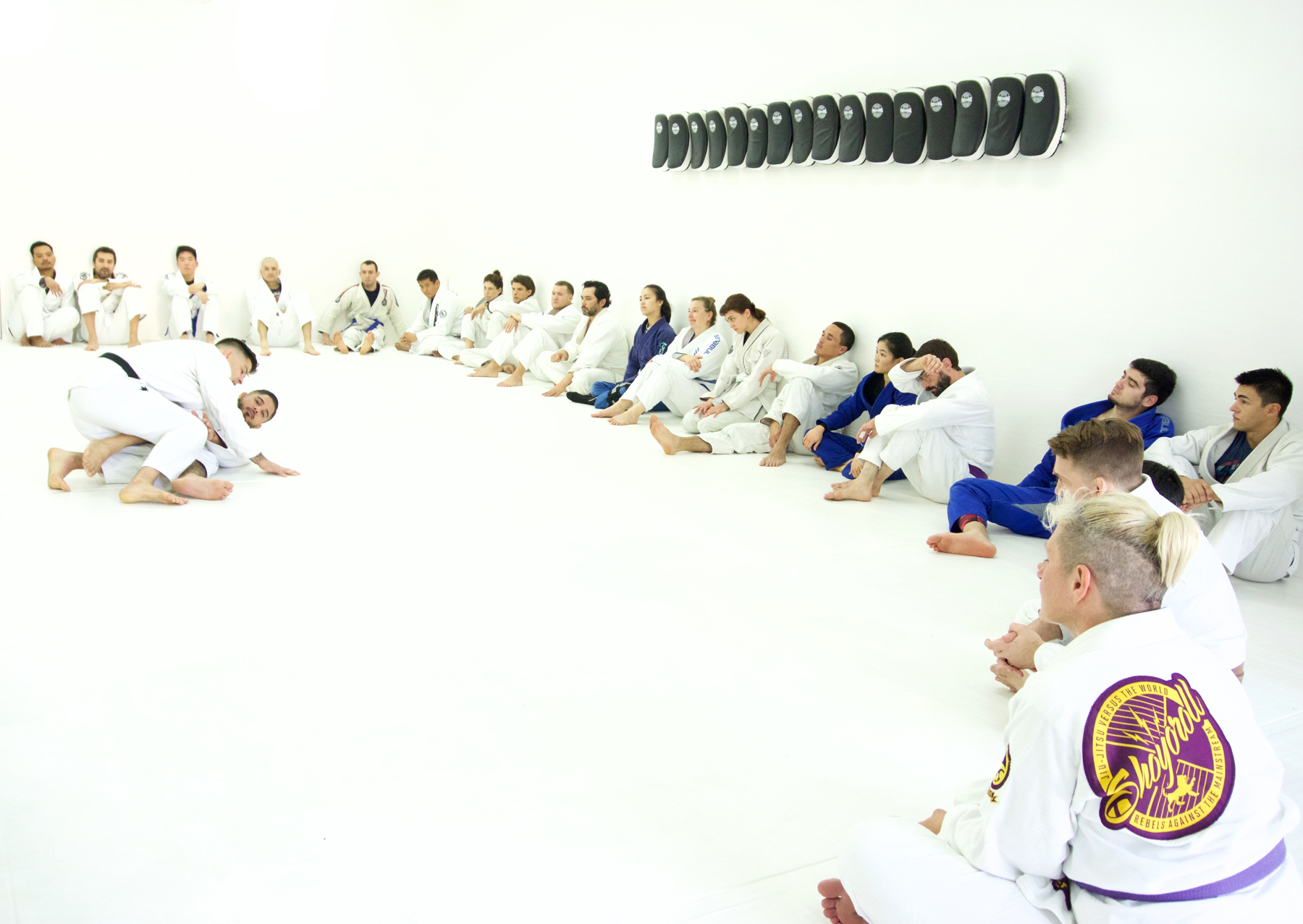 Brazilian Jiu-Jitsu Seminar in Pasadena, Ca